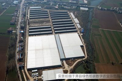 總投資6億元！江蘇綠港又一現代化設施農業園即將建成運營，助力旅游高質量發展