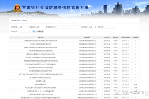 學黨史辦實事 平涼消防教你如何查詢消防技術服務機構質量，筑牢安全防線